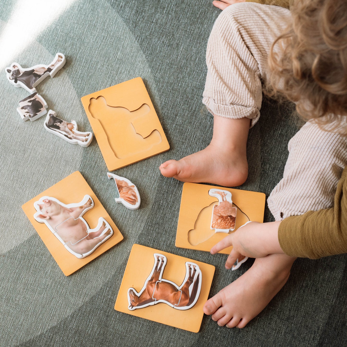 Montessori 3-Piece Farm Animal Puzzles