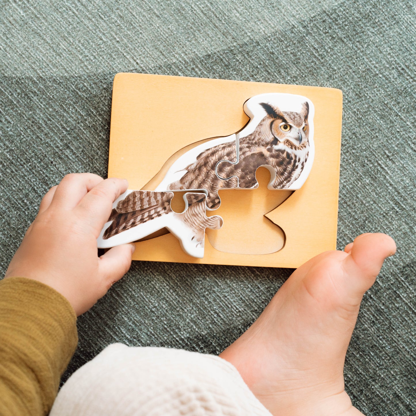 Montessori 4-Piece Woodland Creature Puzzles