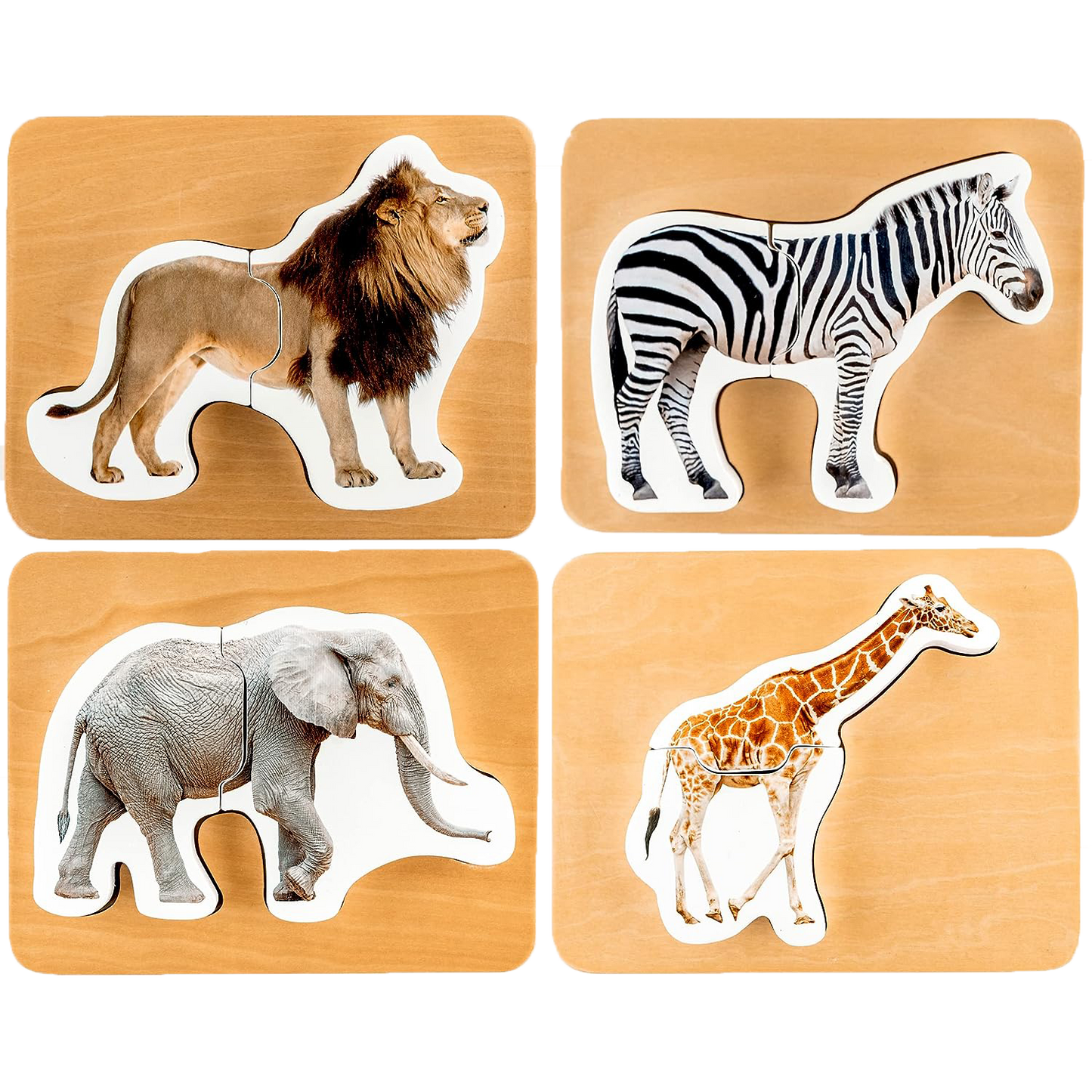 Montessori Safari Animal Puzzles