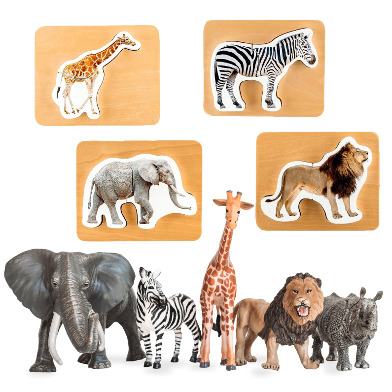 Montessori Safari Animal Puzzles